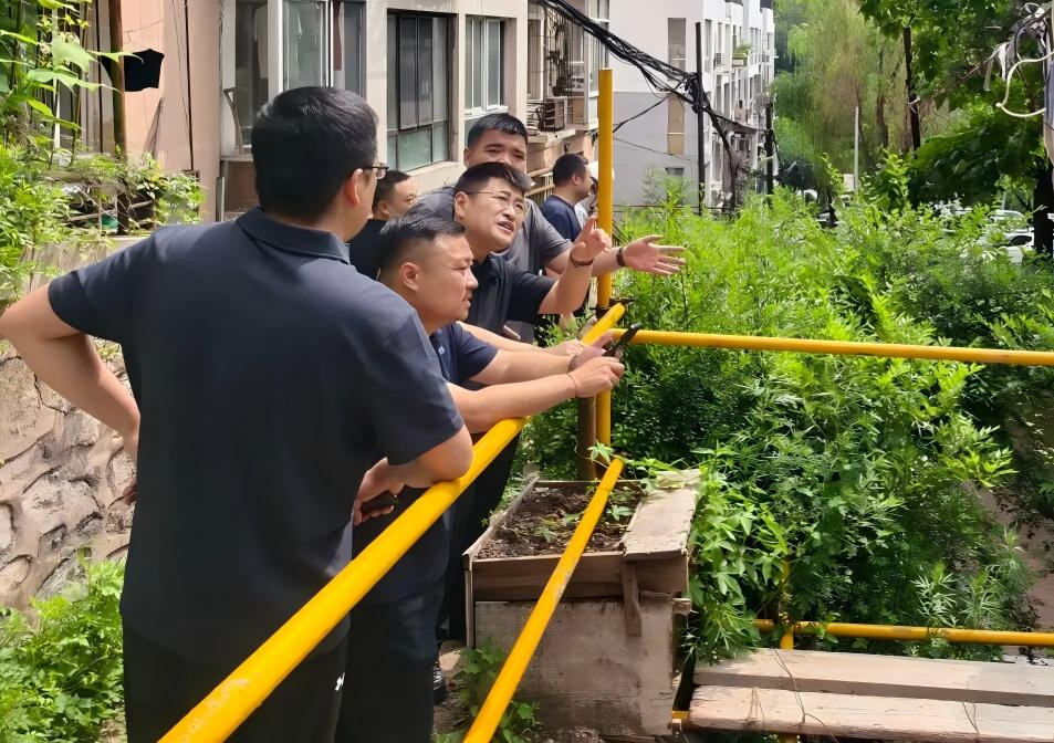区长何宇翥调研城市安全运行与重点项目改造工作